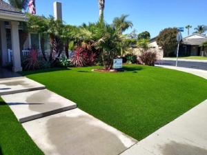 artificial grass 3