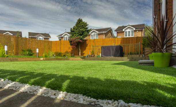 a grass lawn in a backyard