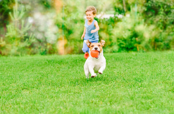 a boy running with a dog in the grass