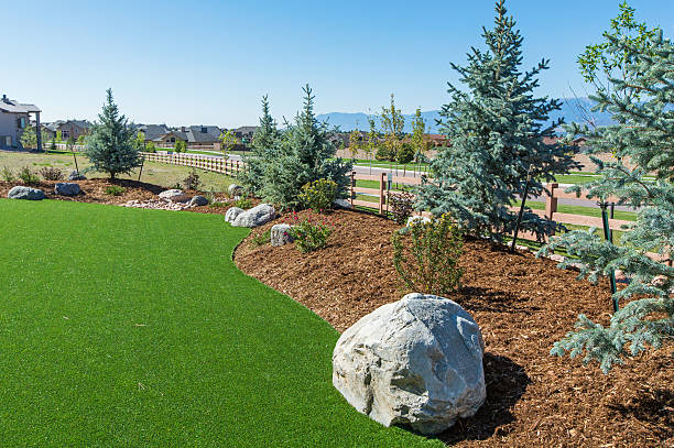 a lawn with rocks and trees